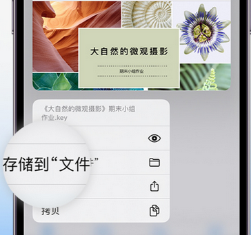 老城镇apple维修中心分享iPhone文件应用中存储和找到下载文件