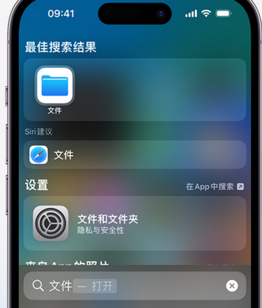 老城镇apple维修中心分享iPhone文件应用中存储和找到下载文件 