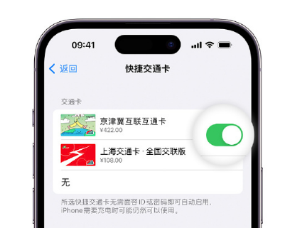 老城镇apple维修点分享iPhone上更换Apple Pay快捷交通卡手绘卡面 