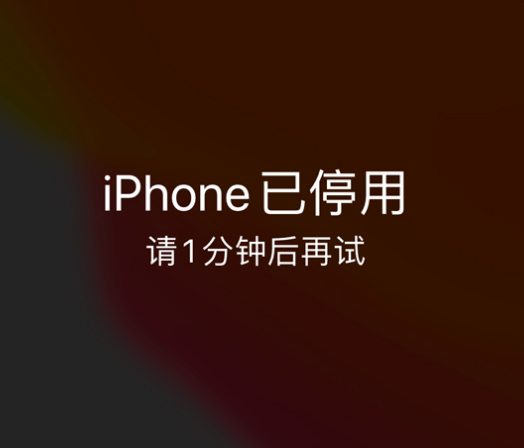 老城镇苹果手机维修分享:iPhone 显示“不可用”或“已停用”怎么办？还能保留数据吗？ 