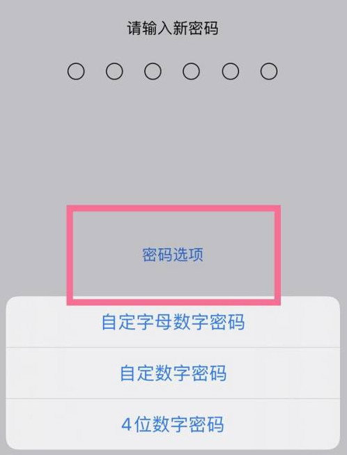 老城镇苹果14维修分享iPhone 14plus设置密码的方法 