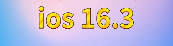 老城镇苹果服务网点分享苹果iOS16.3升级反馈汇总 