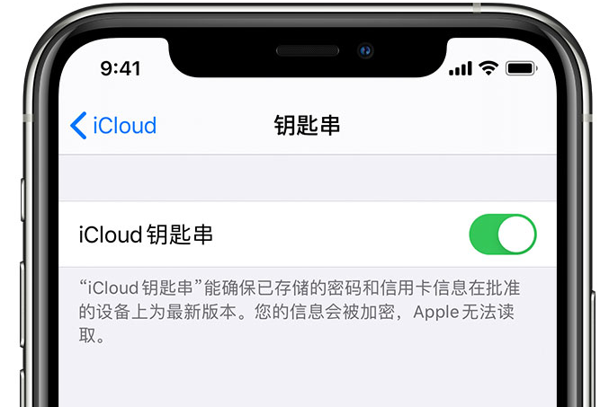 老城镇苹果手机维修分享在 iPhone 上开启 iCloud 钥匙串之后会储存哪些信息 